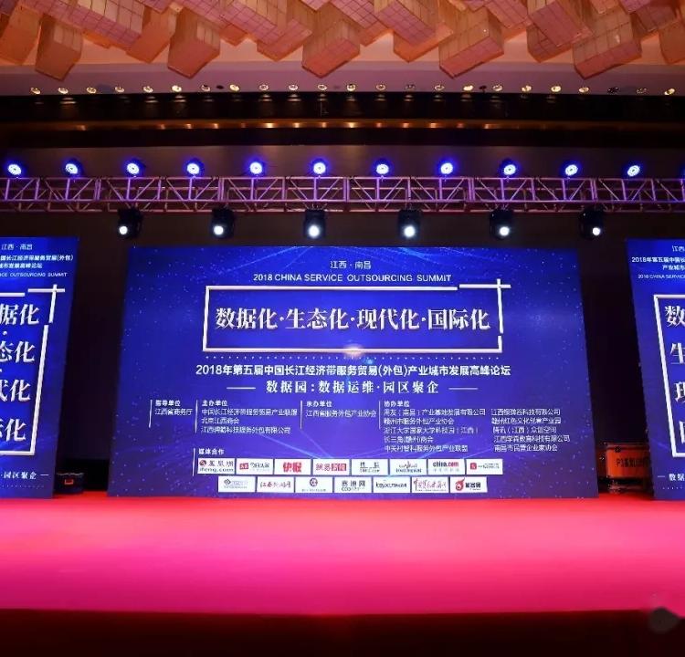 国瑞信息荣获2018年“江西省服务外包领军企业”